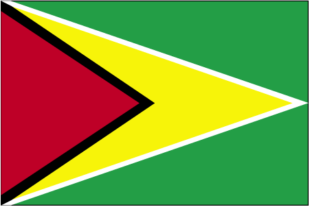 world flags border. Guyanas Flag