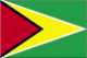 Guyana&#039;s flag