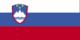 Slovenia&#039;s flag