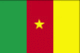 Cameroon&#039;s flag